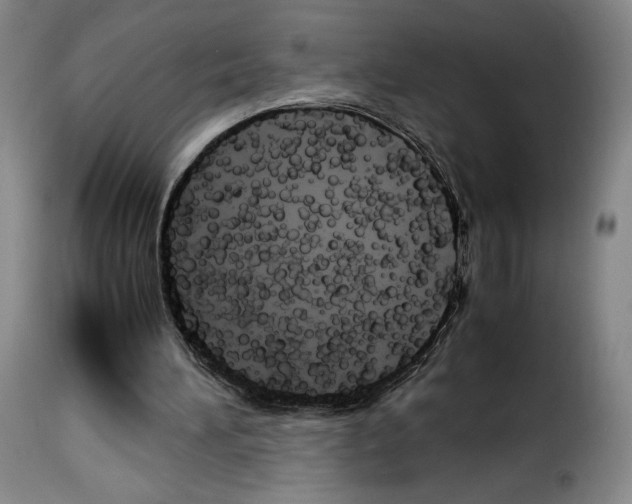 X0000114190196200911200944
