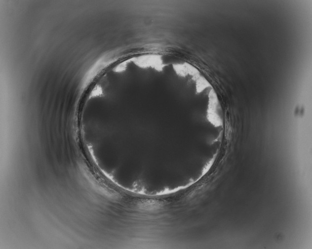 X0000114190198200911200944