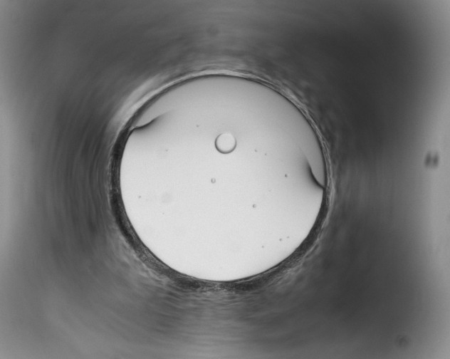 X0000114190199200911200944