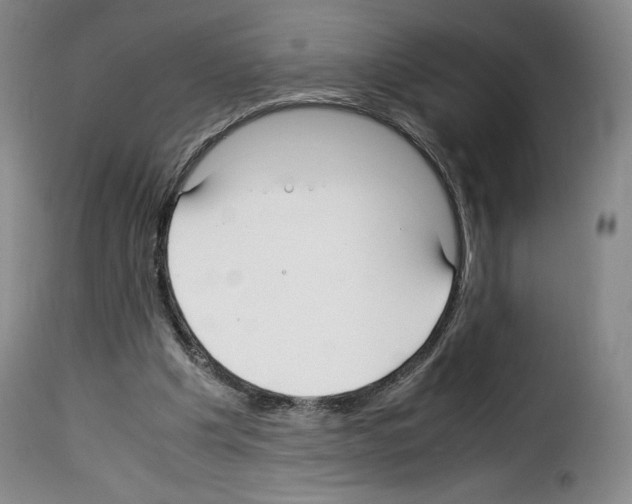 X0000114190201200911200944
