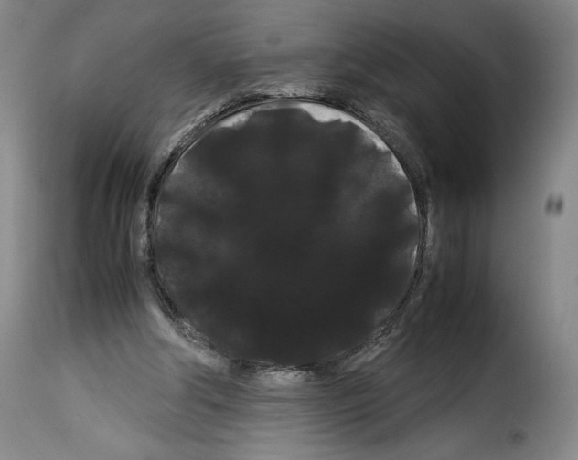 X0000114190202200911200944