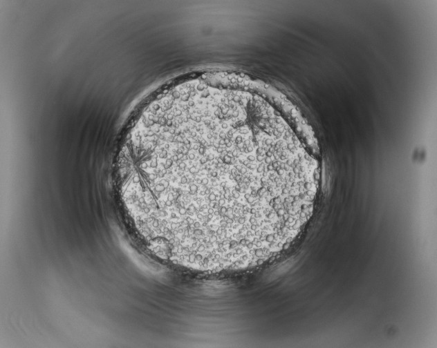 X0000114190204200911200944