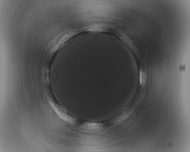 X0000114190205200911200944