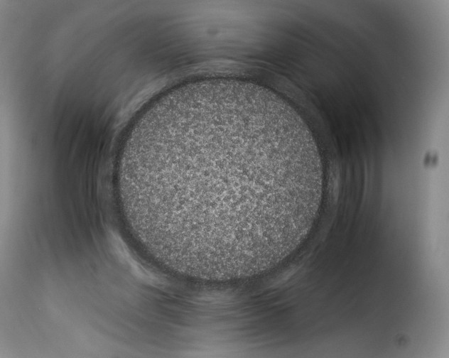 X0000114190206200911200944