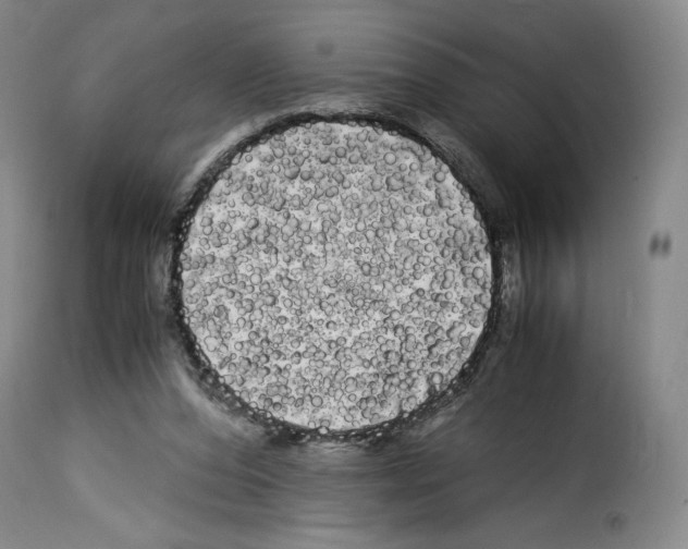X0000114190208200911200944