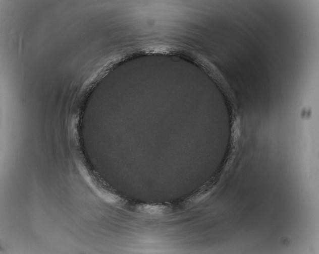 X0000114190209200911200944