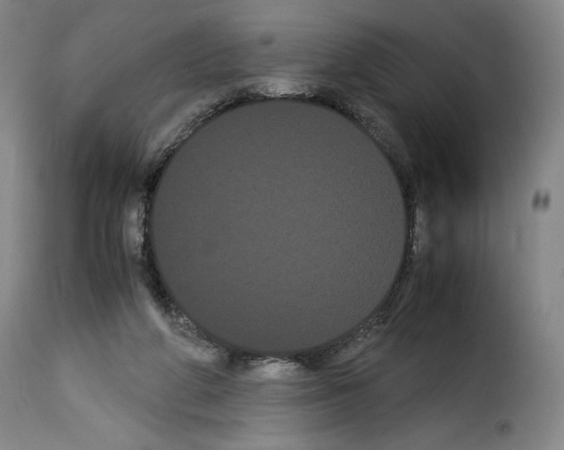 X0000114190210200911200944