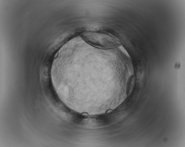 X0000114190211200911200944