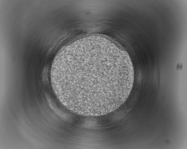 X0000114190214200911200944