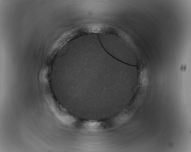 X0000114190217200911200944