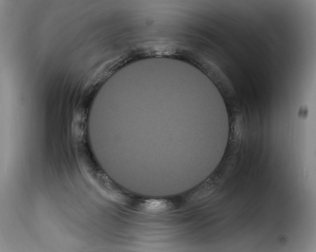 X0000114190218200911200944