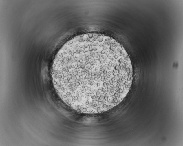 X0000114190220200911200944