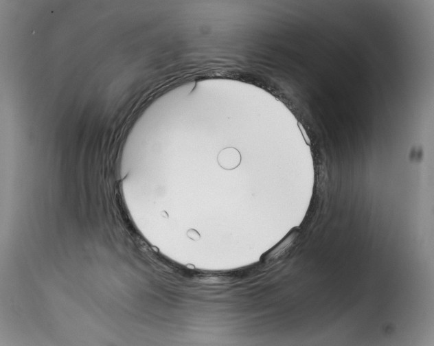 X0000114190221200911200944