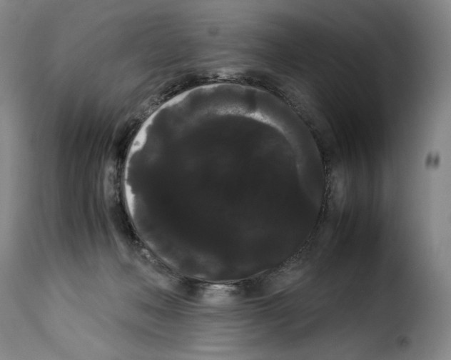 X0000114190222200911200944