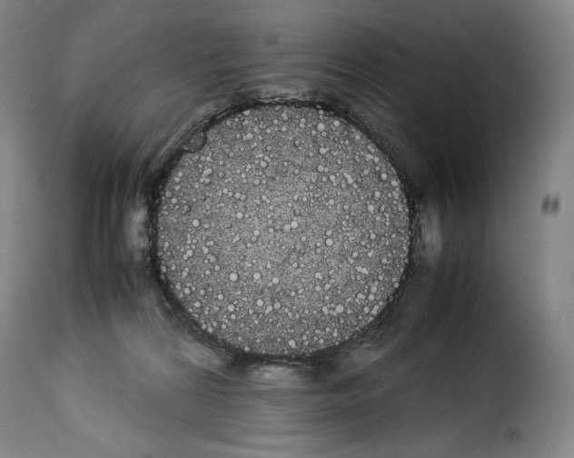 X0000114190224200911200944