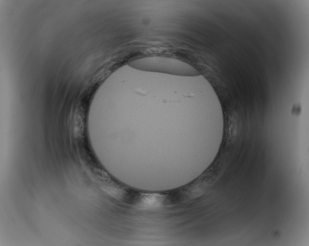 X0000114190226200911200944