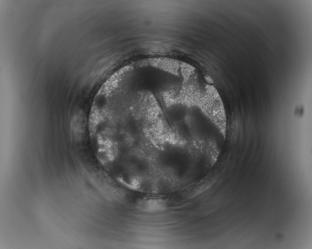 X0000114190228200911200944