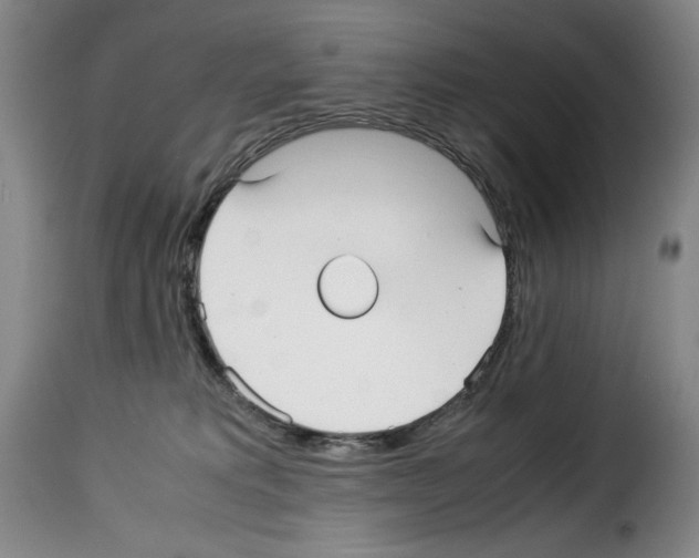 X0000114190229200911200944