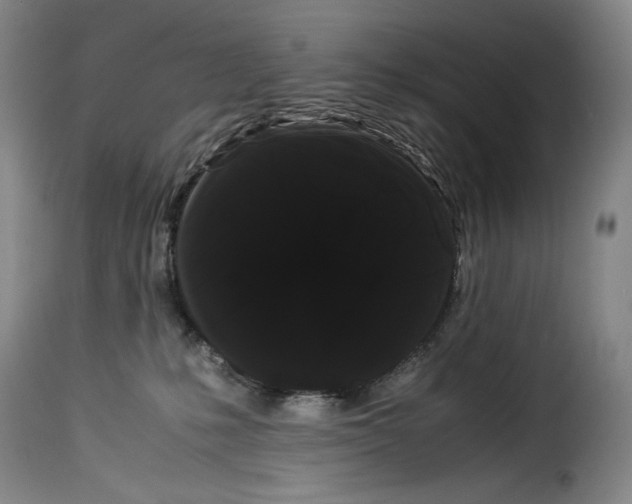 X0000114190231200911200944