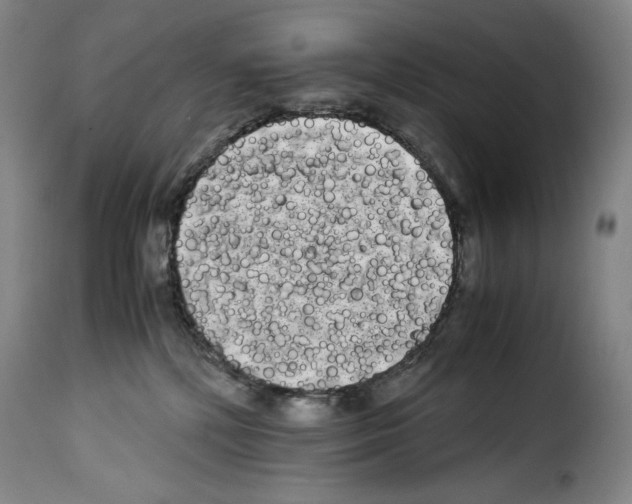 X0000114190232200911200943