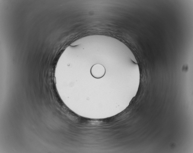 X0000114190233200911200943