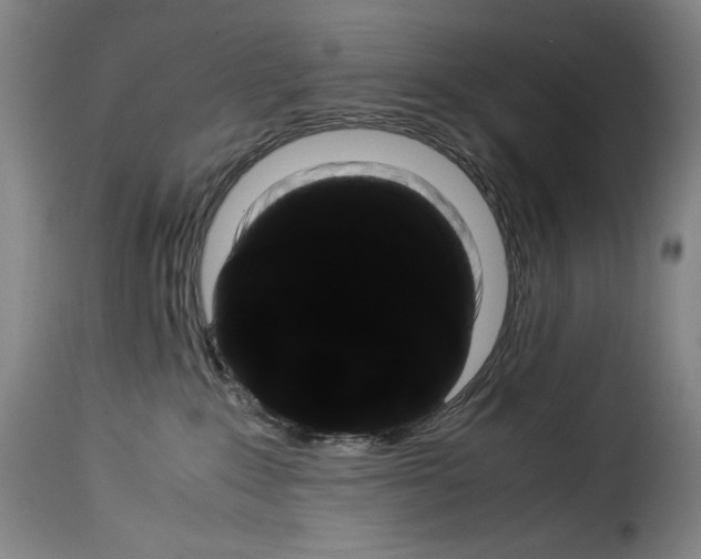 X0000114190235200911200943