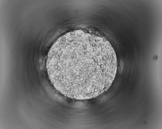 X0000114190236200911200943