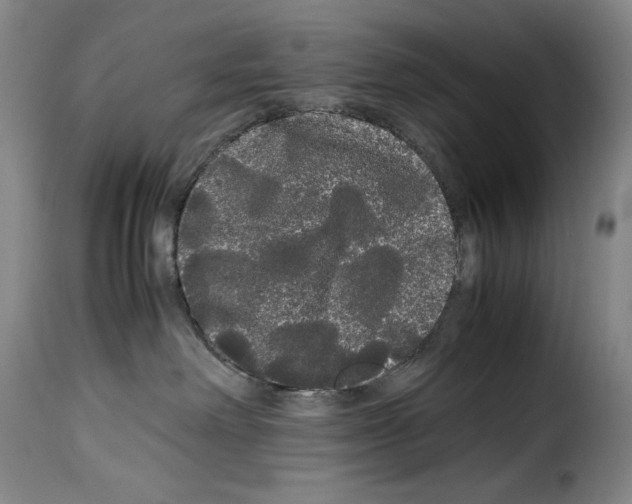 X0000114190238200911200943