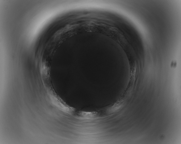X0000114190239200911200943