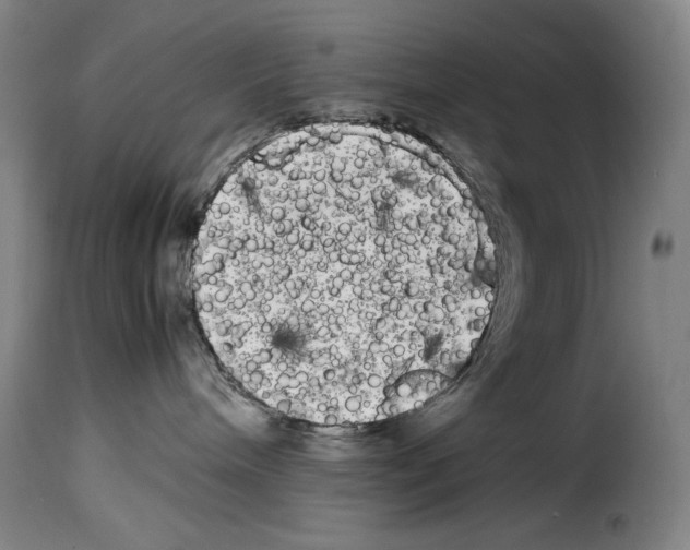 X0000114190240200911200943