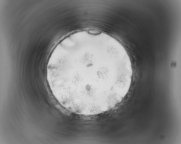 X0000114190241200911200943
