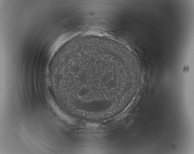 X0000114190242200911200943