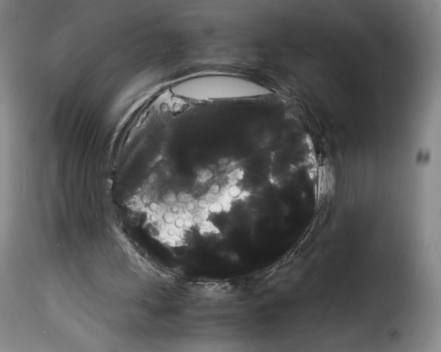 X0000114190243200911200943