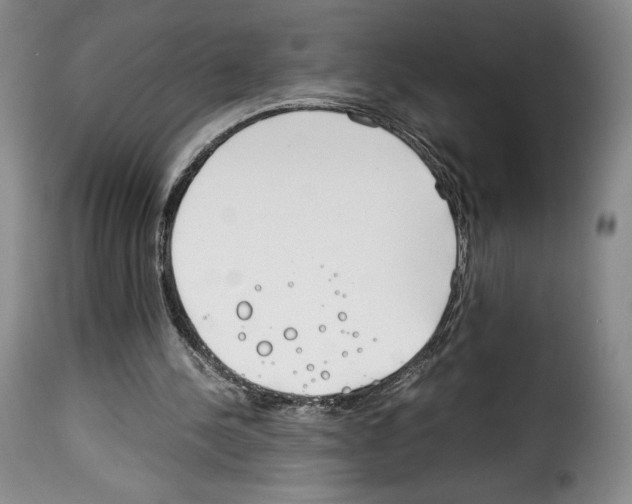 X0000114190244200911200943