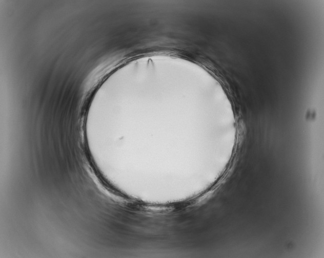 X0000114190245200911200943