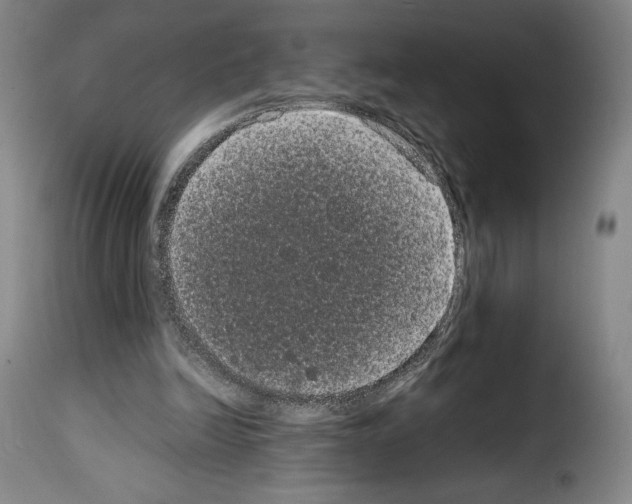 X0000114190246200911200943