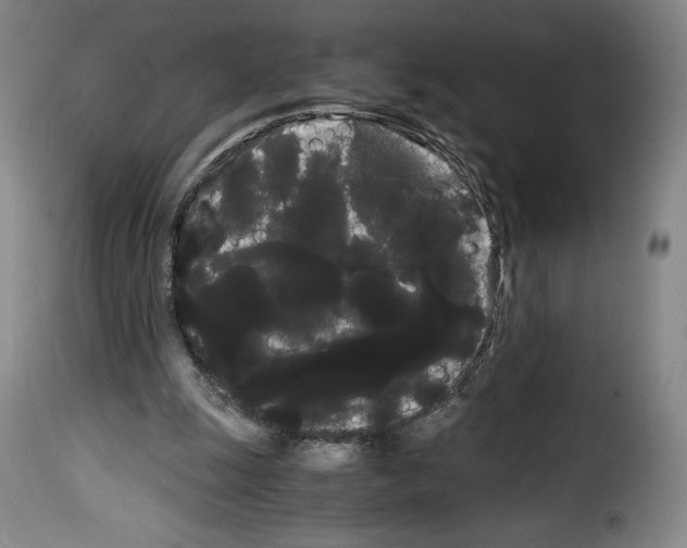 X0000114190247200911200943