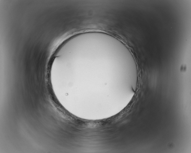 X0000114190248200911200943