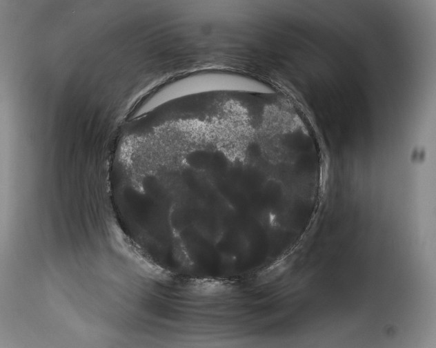 X0000114190249200911200943