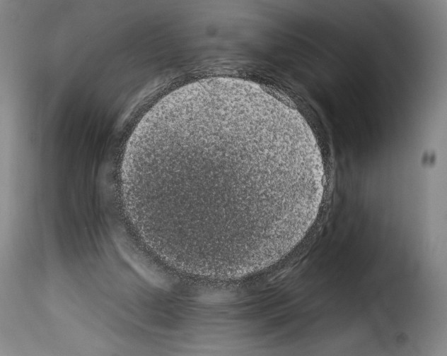X0000114190250200911200943