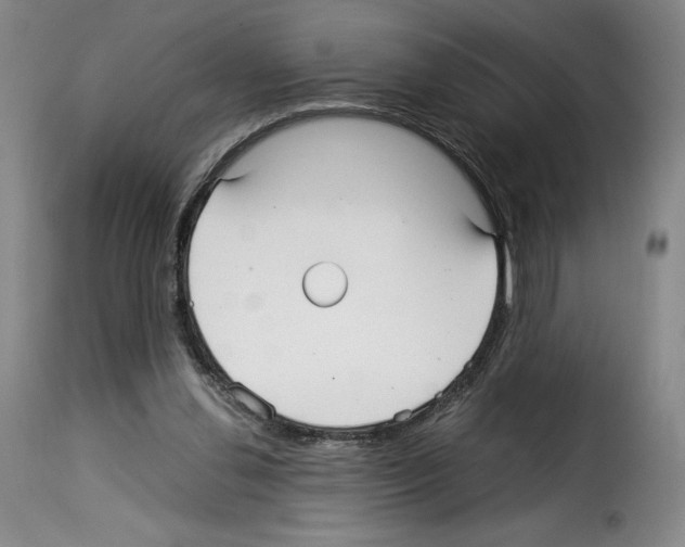 X0000114190252200911200943
