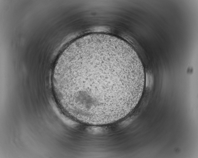 X0000114190253200911200943