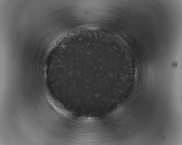 X0000114190254200911200943