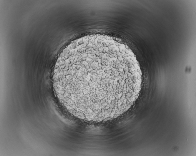 X0000114190255200911200943