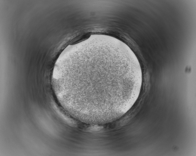 X0000114190257200911200943