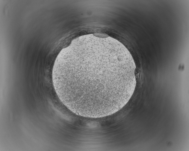 X0000114190258200911200943
