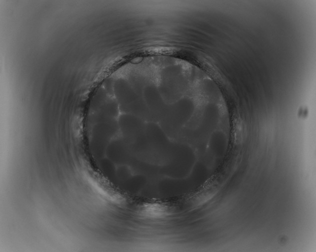 X0000114190259200911200943