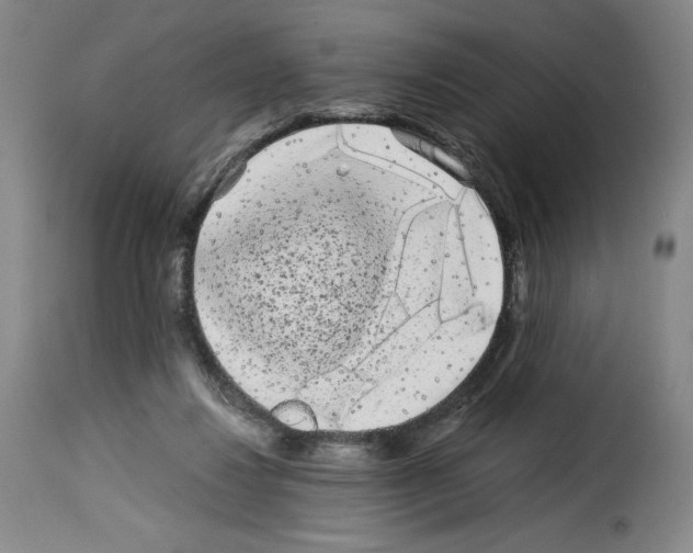 X0000114190260200911200943