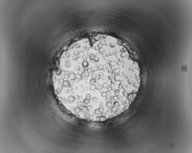 X0000114190261200911200943