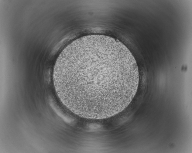 X0000114190262200911200943